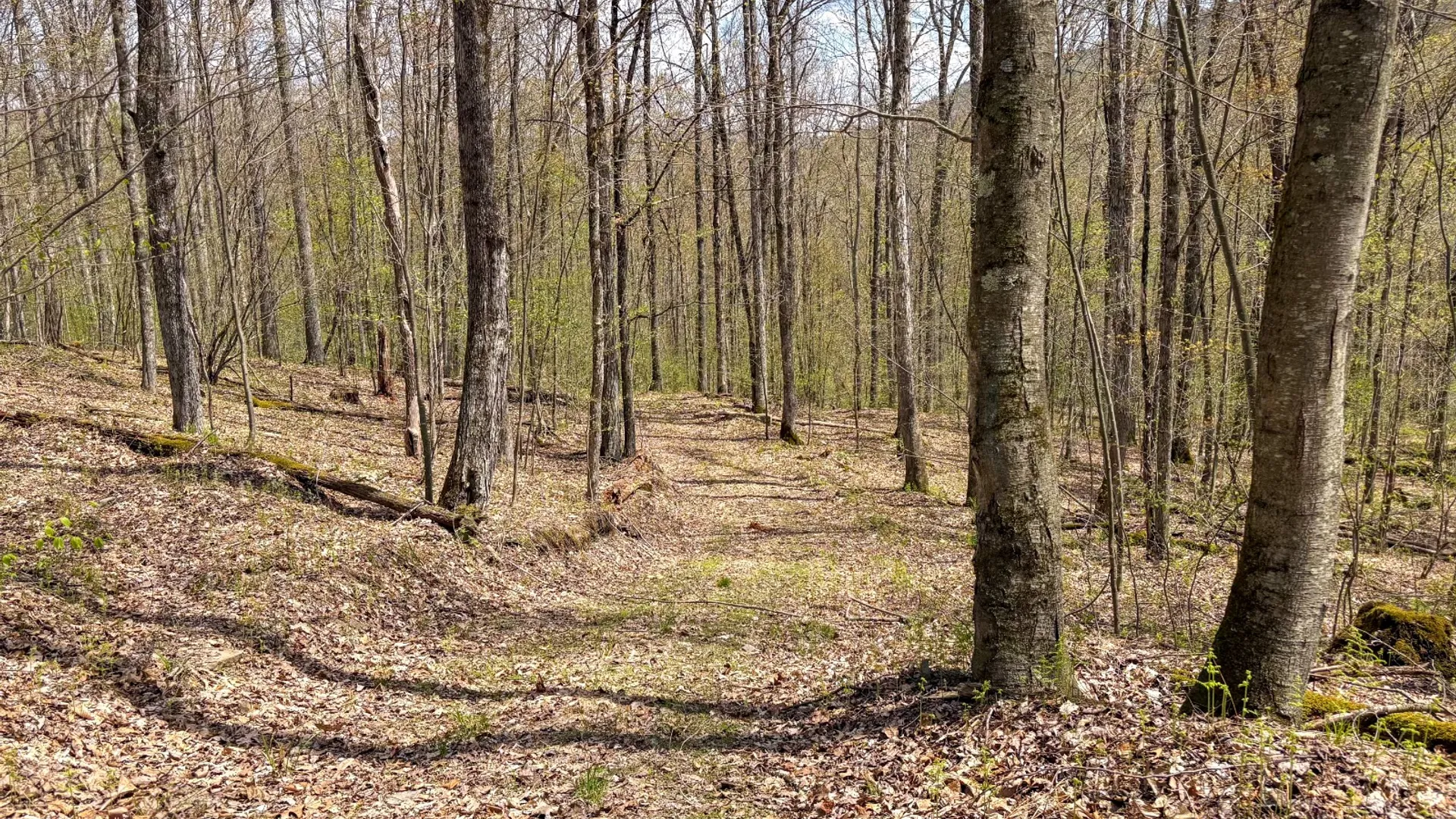 Property at 0 Warren Rd, Hancock, NY 13783 49