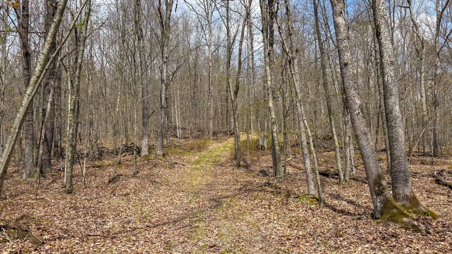 Property at 0 Warren Rd, Hancock, NY 13783 50