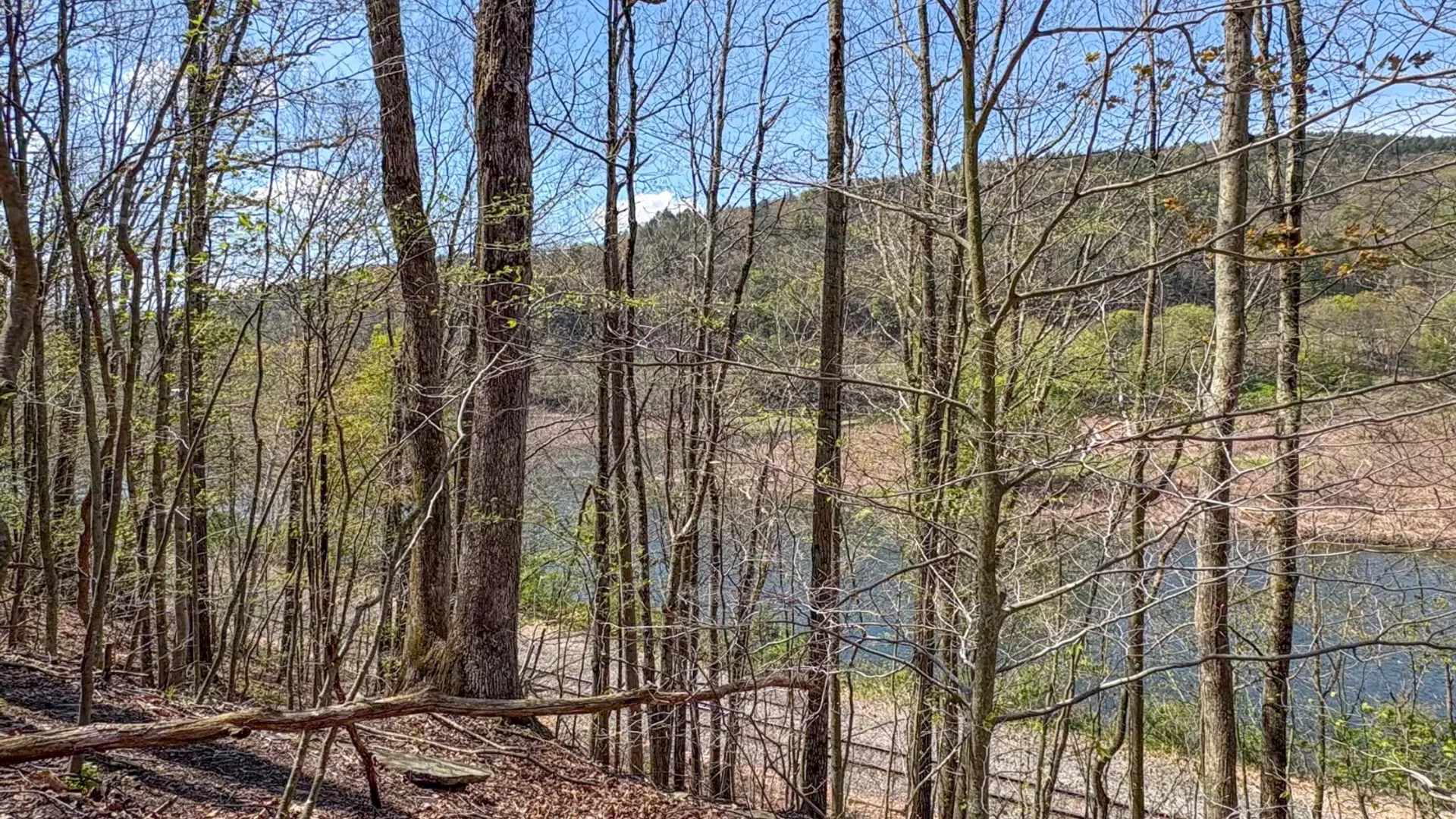 Property at 0 Warren Rd, Hancock, NY 13783 22