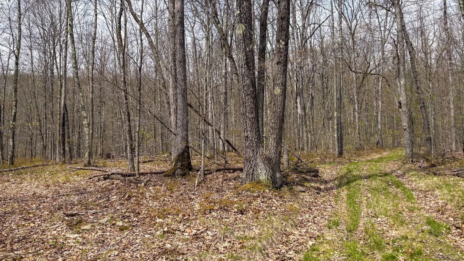 Property at 0 Warren Rd, Hancock, NY 13783 51