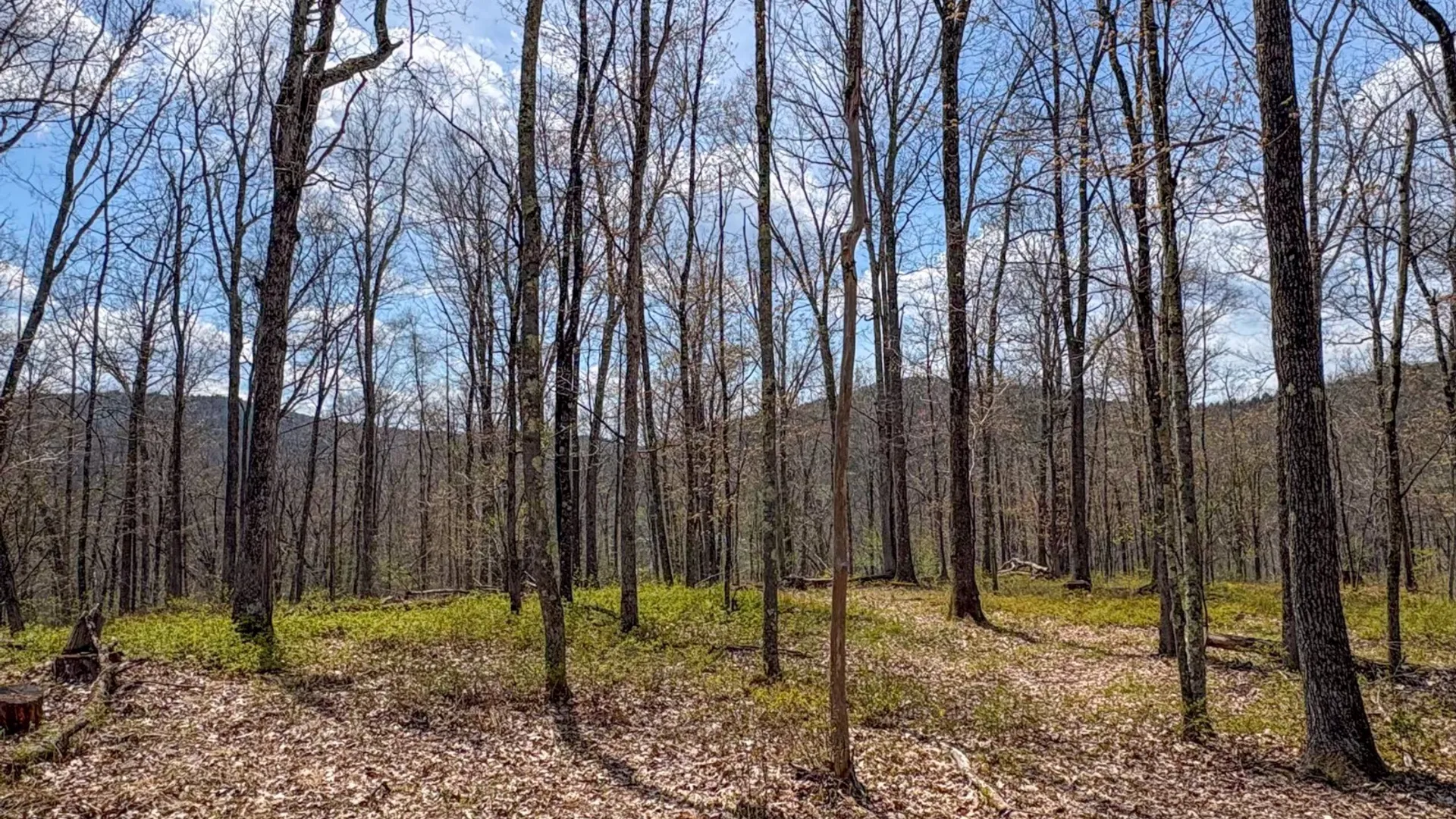 Property at 0 Warren Rd, Hancock, NY 13783 30