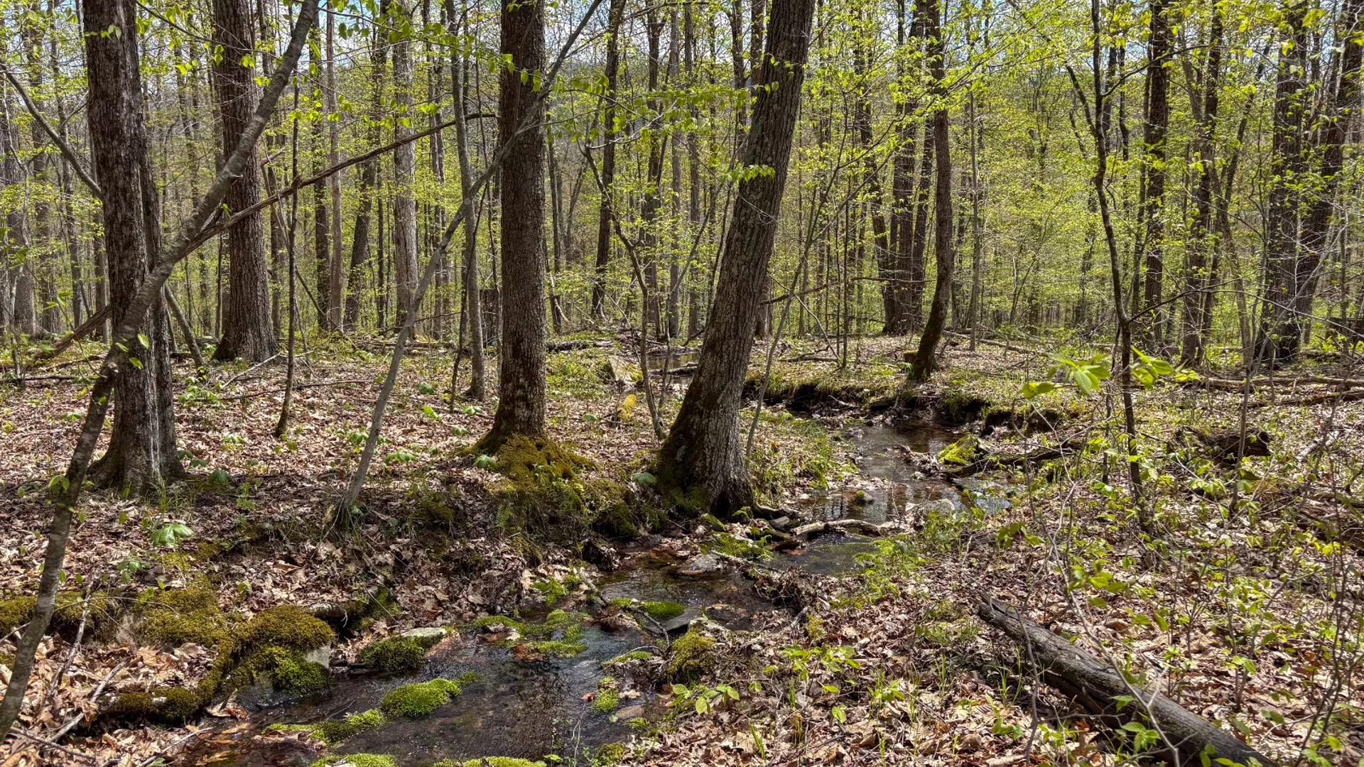 Property at 0 Warren Rd, Hancock, NY 13783 38