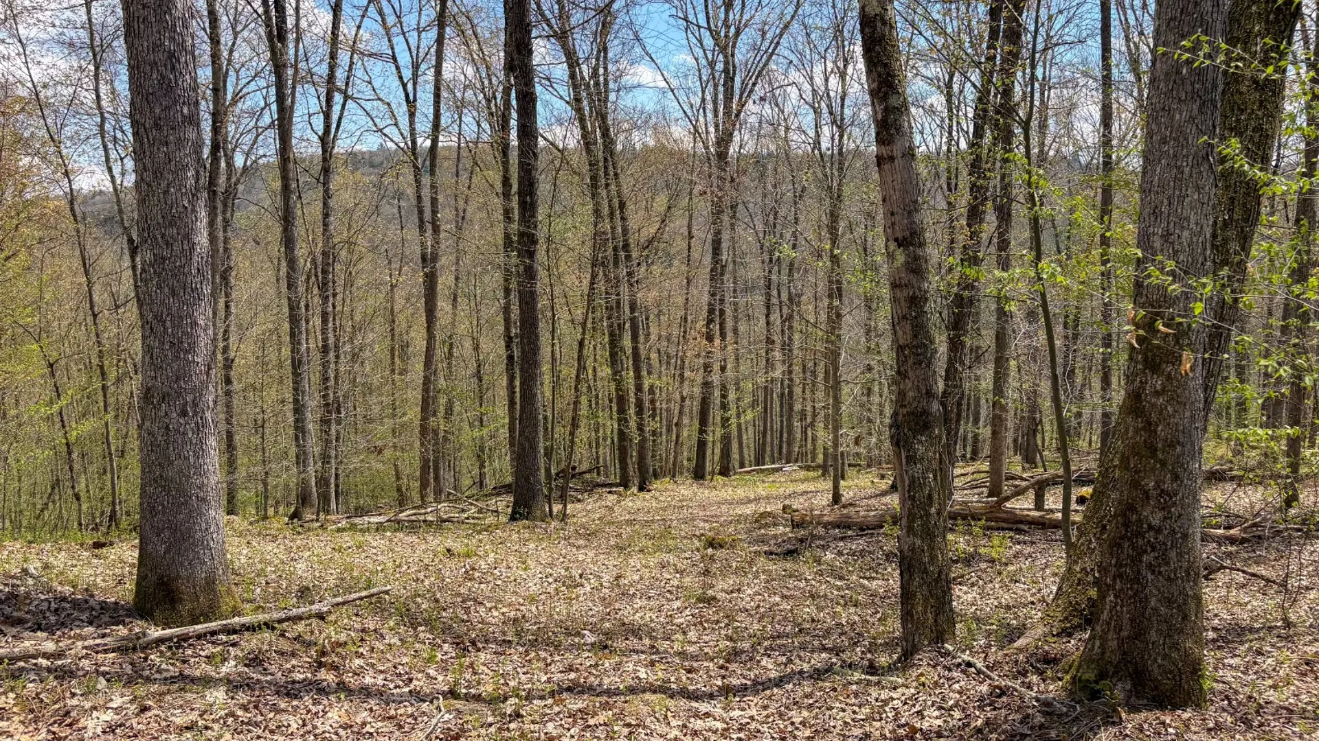 Property at 0 Warren Rd, Hancock, NY 13783 33