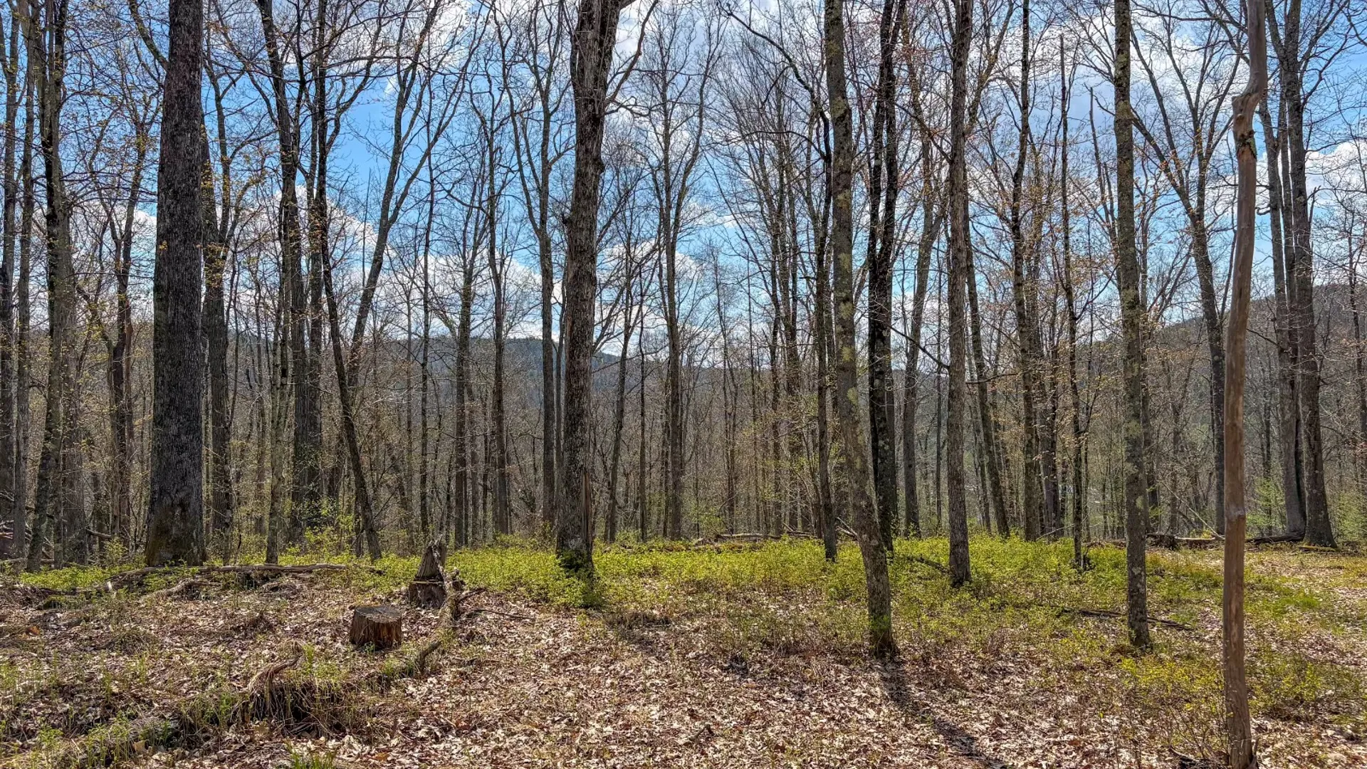 Property at 0 Warren Rd, Hancock, NY 13783 31