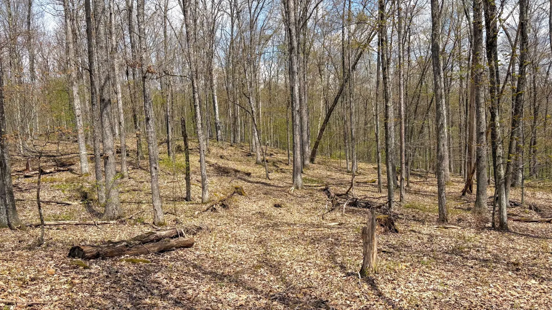 Property at 0 Warren Rd, Hancock, NY 13783 52