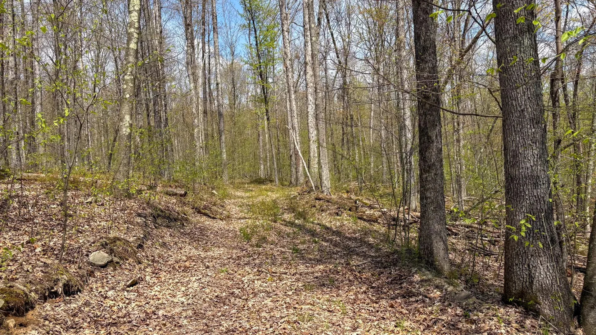 Property at 0 Warren Rd, Hancock, NY 13783 53