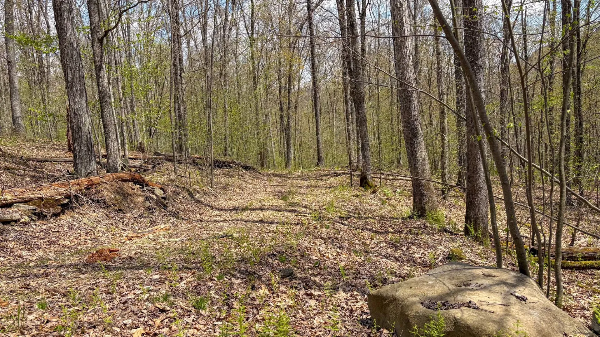 Property at 0 Warren Rd, Hancock, NY 13783 54