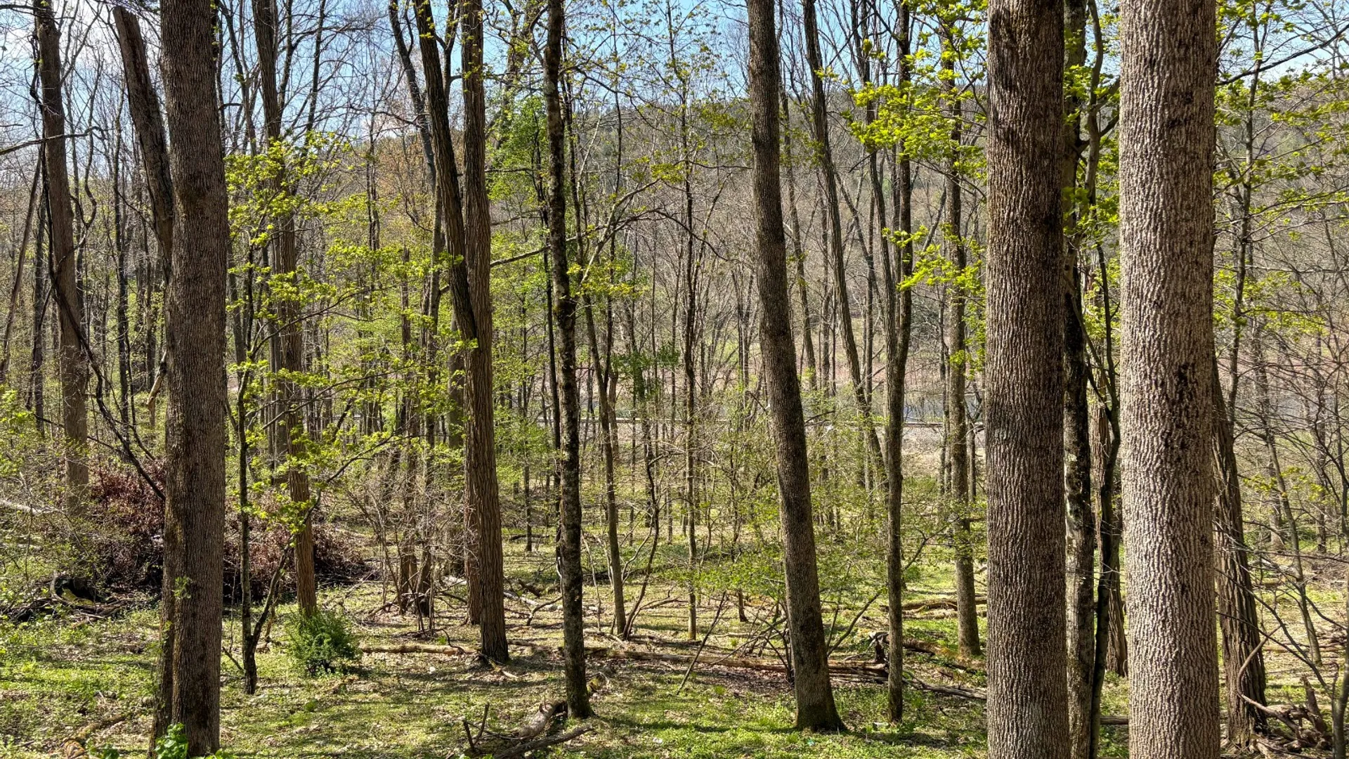 Property at 0 Warren Rd, Hancock, NY 13783 25