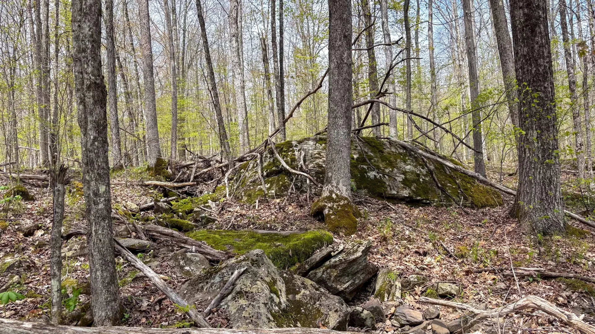 Property at 0 Warren Rd, Hancock, NY 13783 39
