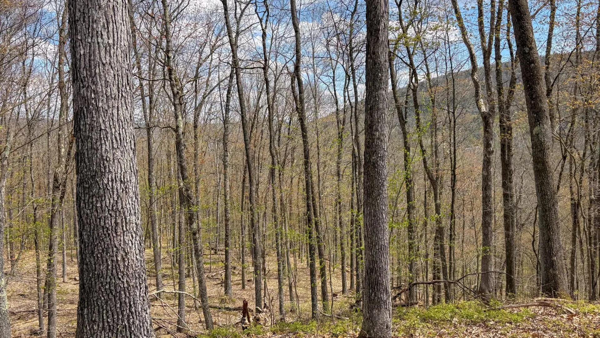 Property at 0 Warren Rd, Hancock, NY 13783 34