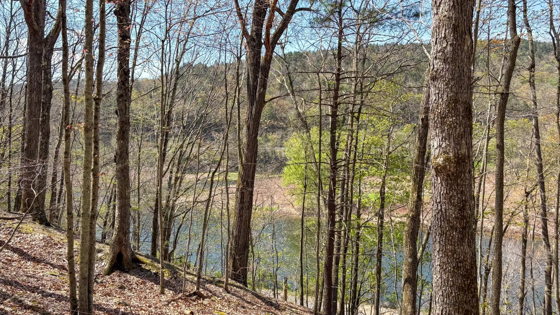 Property at 0 Warren Rd, Hancock, NY 13783 24