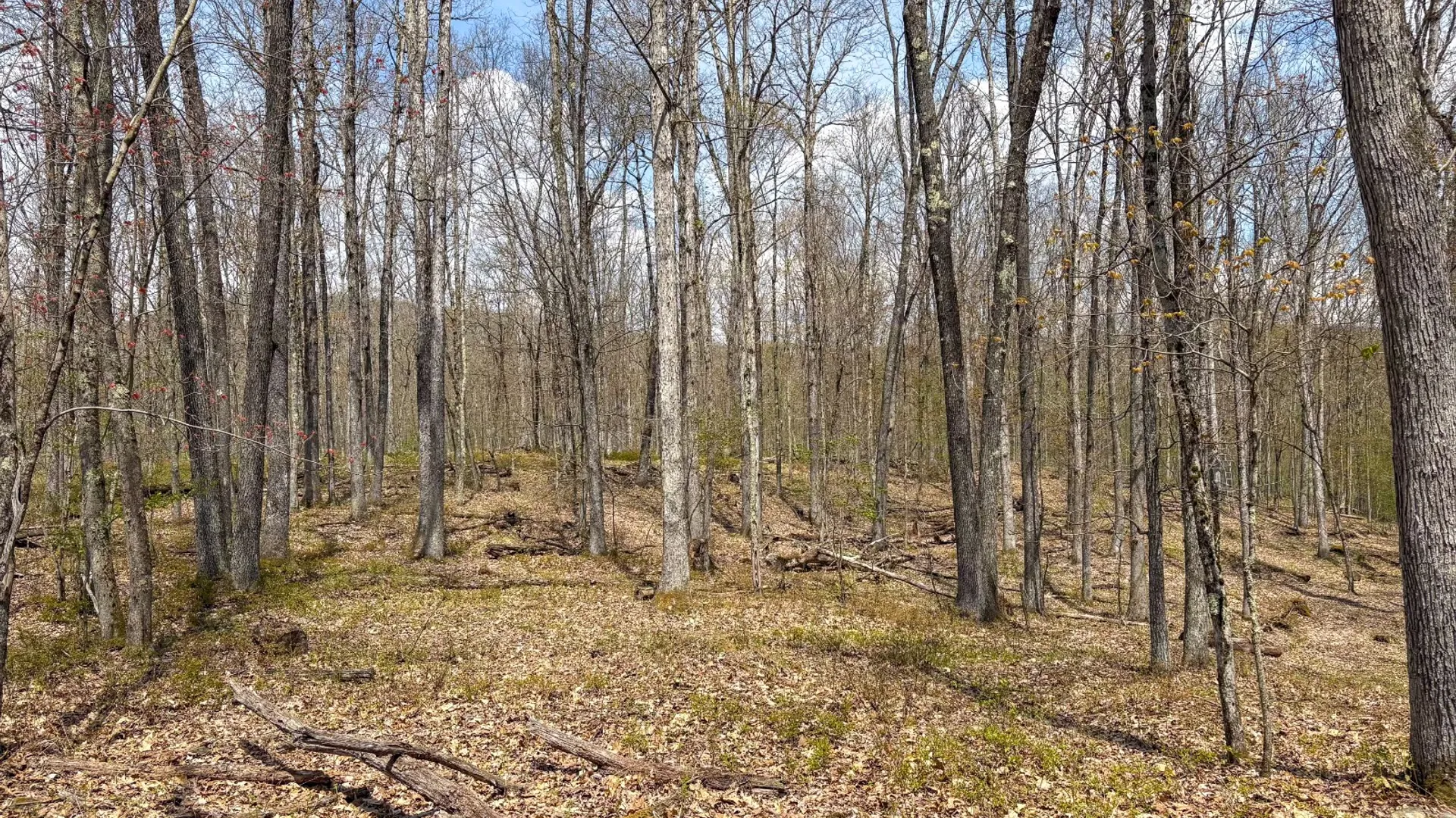 Property at 0 Warren Rd, Hancock, NY 13783 41