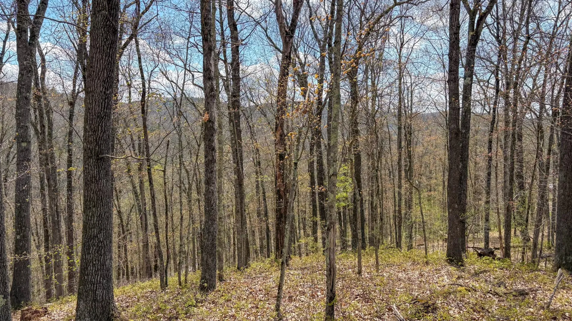 Property at 0 Warren Rd, Hancock, NY 13783 35