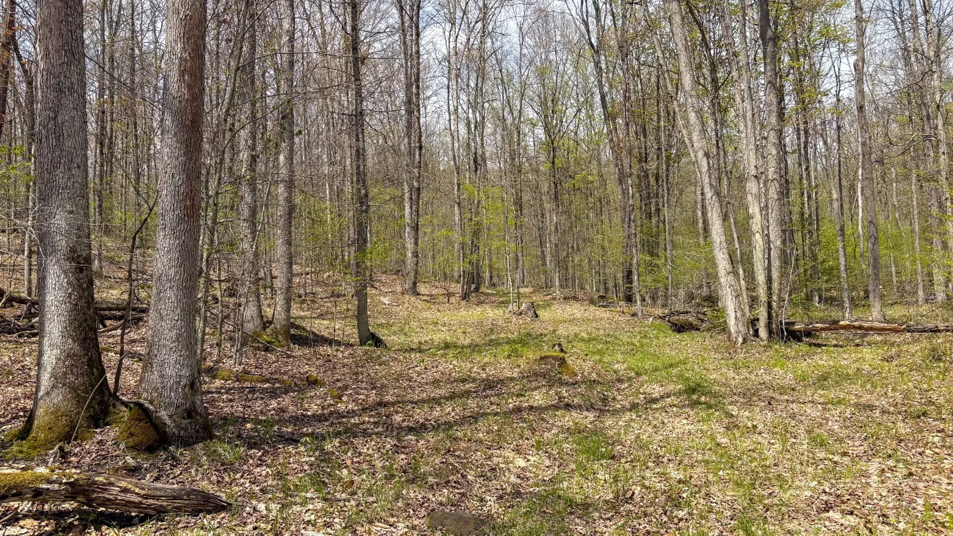 Property at 0 Warren Rd, Hancock, NY 13783 40