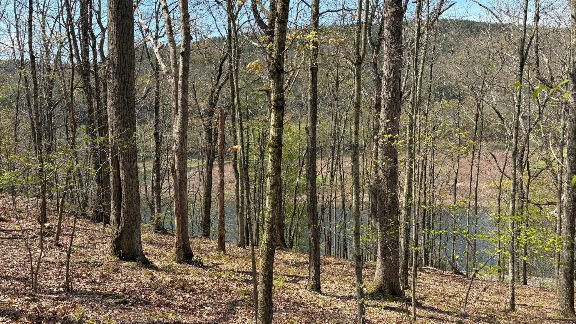 Property at 0 Warren Rd, Hancock, NY 13783 19