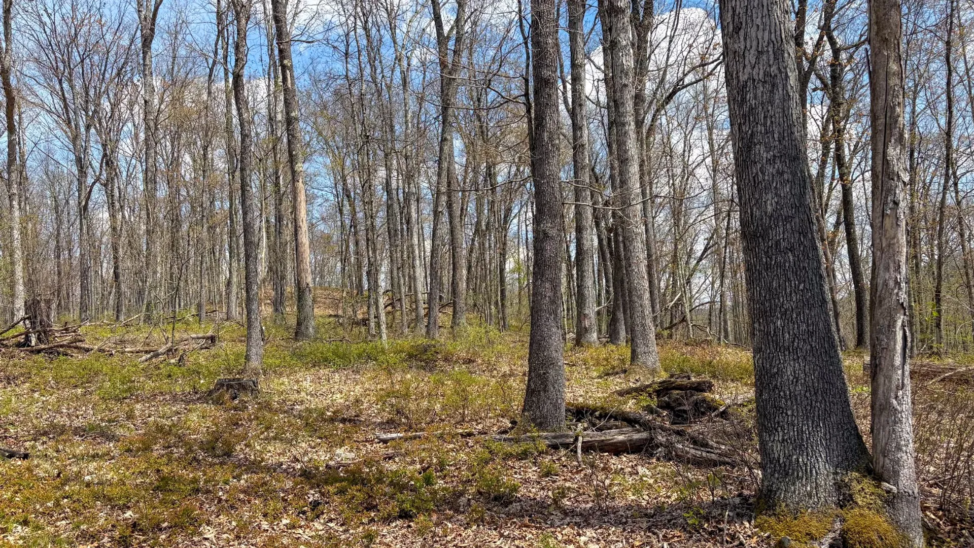 Property at 0 Warren Rd, Hancock, NY 13783 27