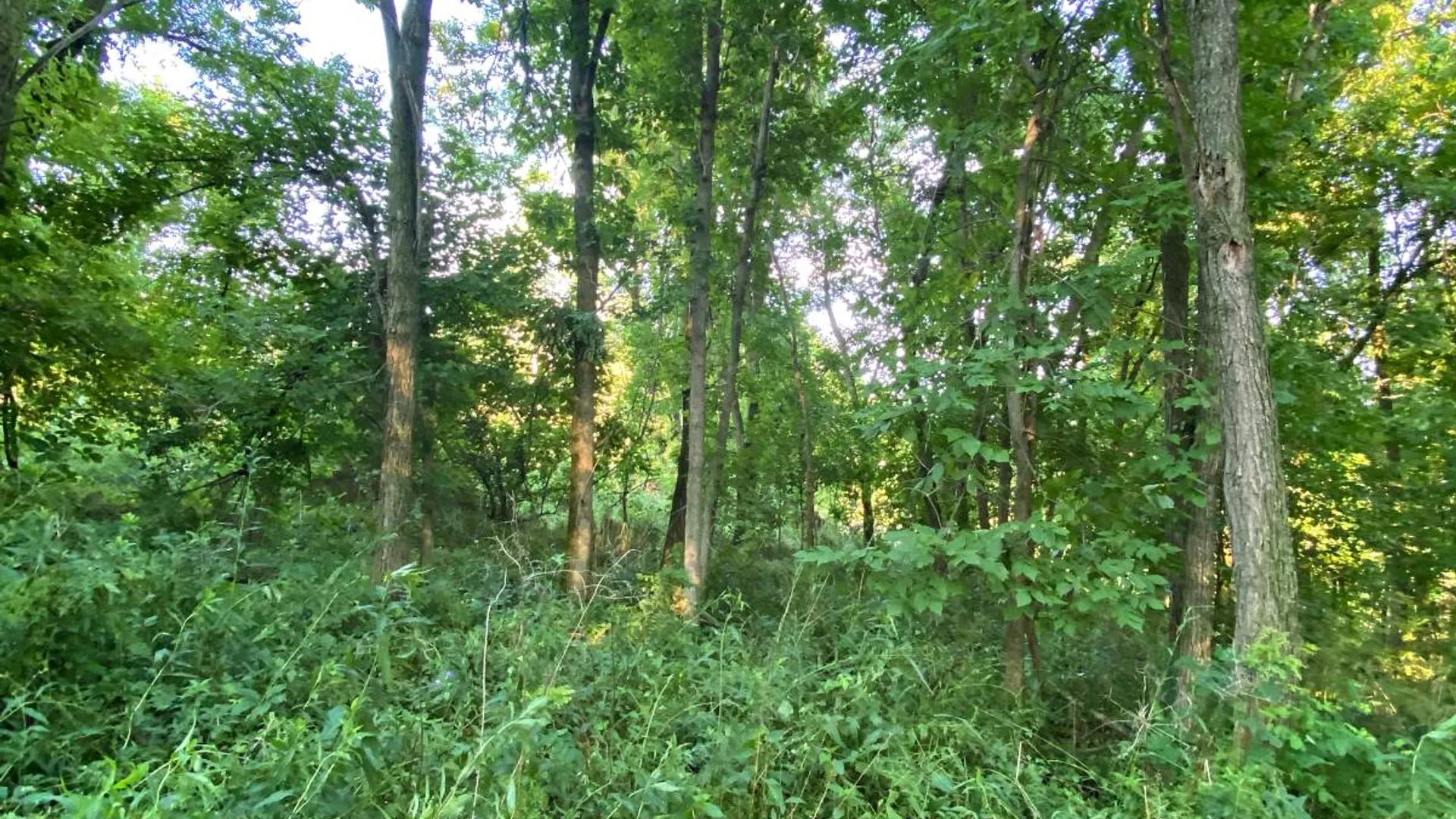 Property at Parcel A E. Hatfield Street, Massena, NY 13662 5