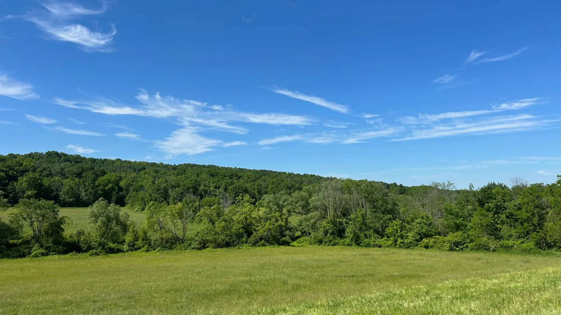 Property at 00 Woodbeck Road, Canajoharie, NY 13317 4