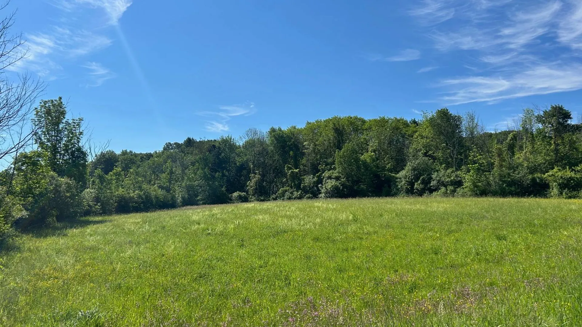 Property at 00 Woodbeck Road, Canajoharie, NY 13317 5