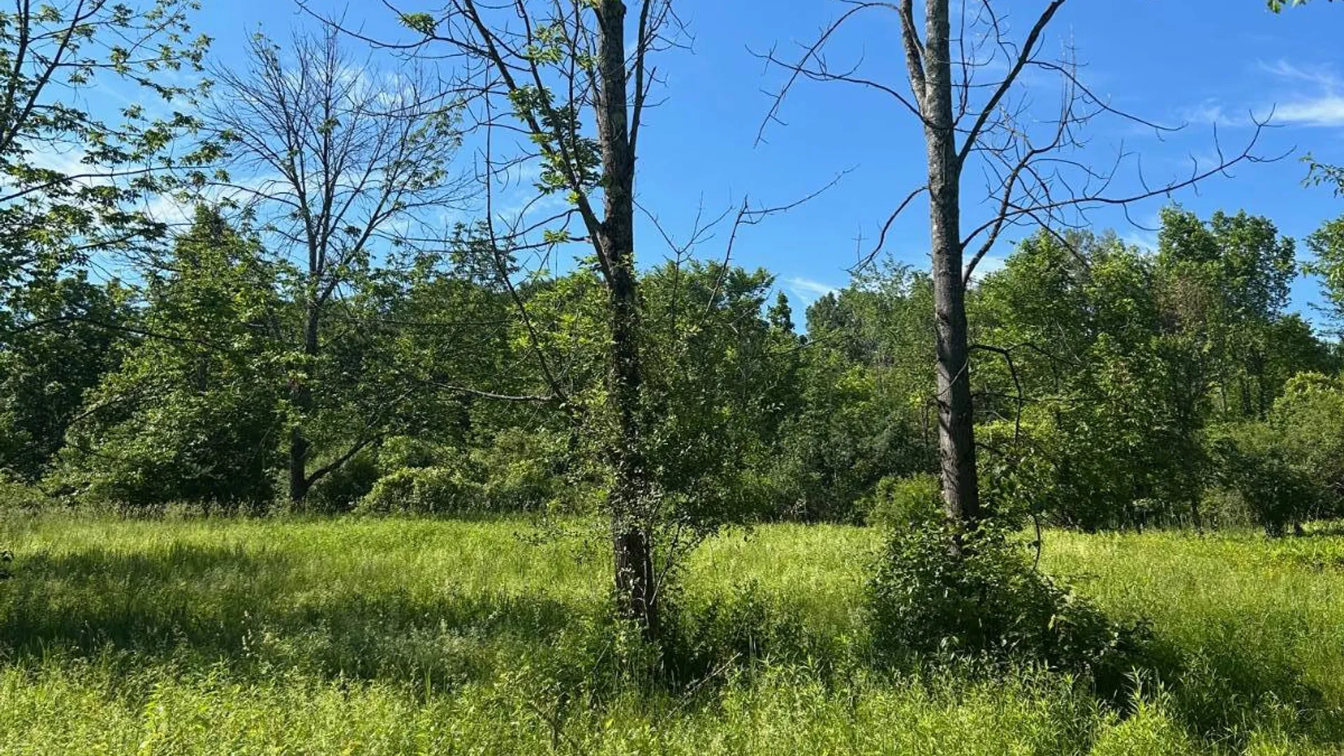 Property at 00 Woodbeck Road, Canajoharie, NY 13317 6