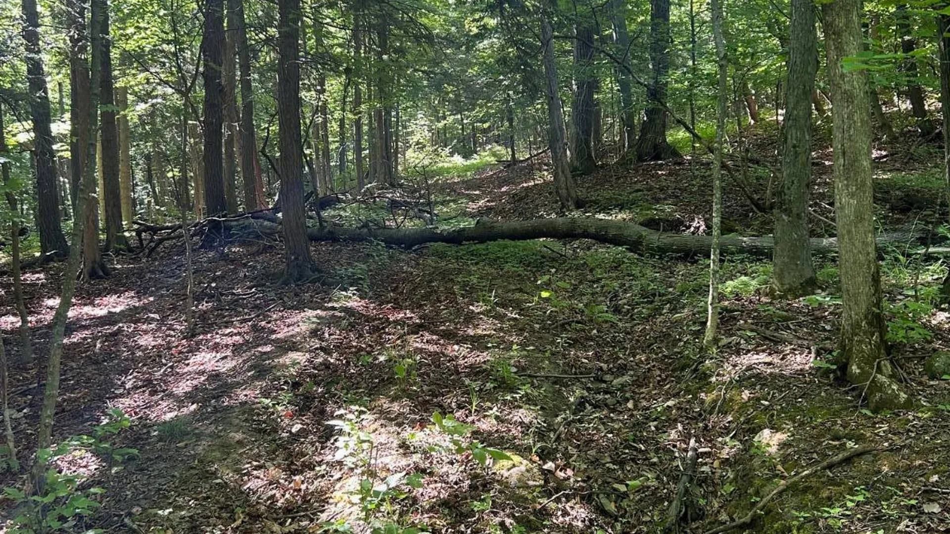 Property at 00 Woodbeck Road, Canajoharie, NY 13317 9
