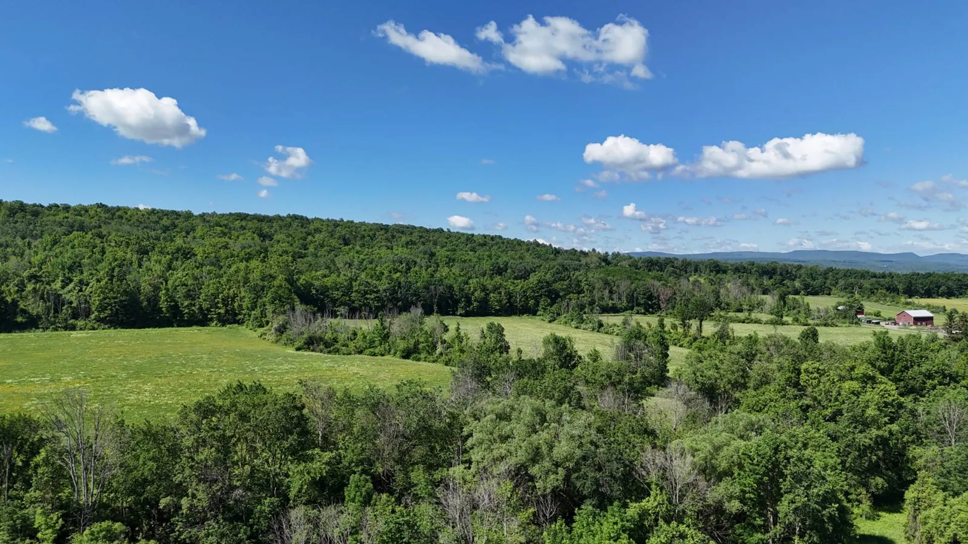 Property at 00 Woodbeck Road, Canajoharie, NY 13317 11