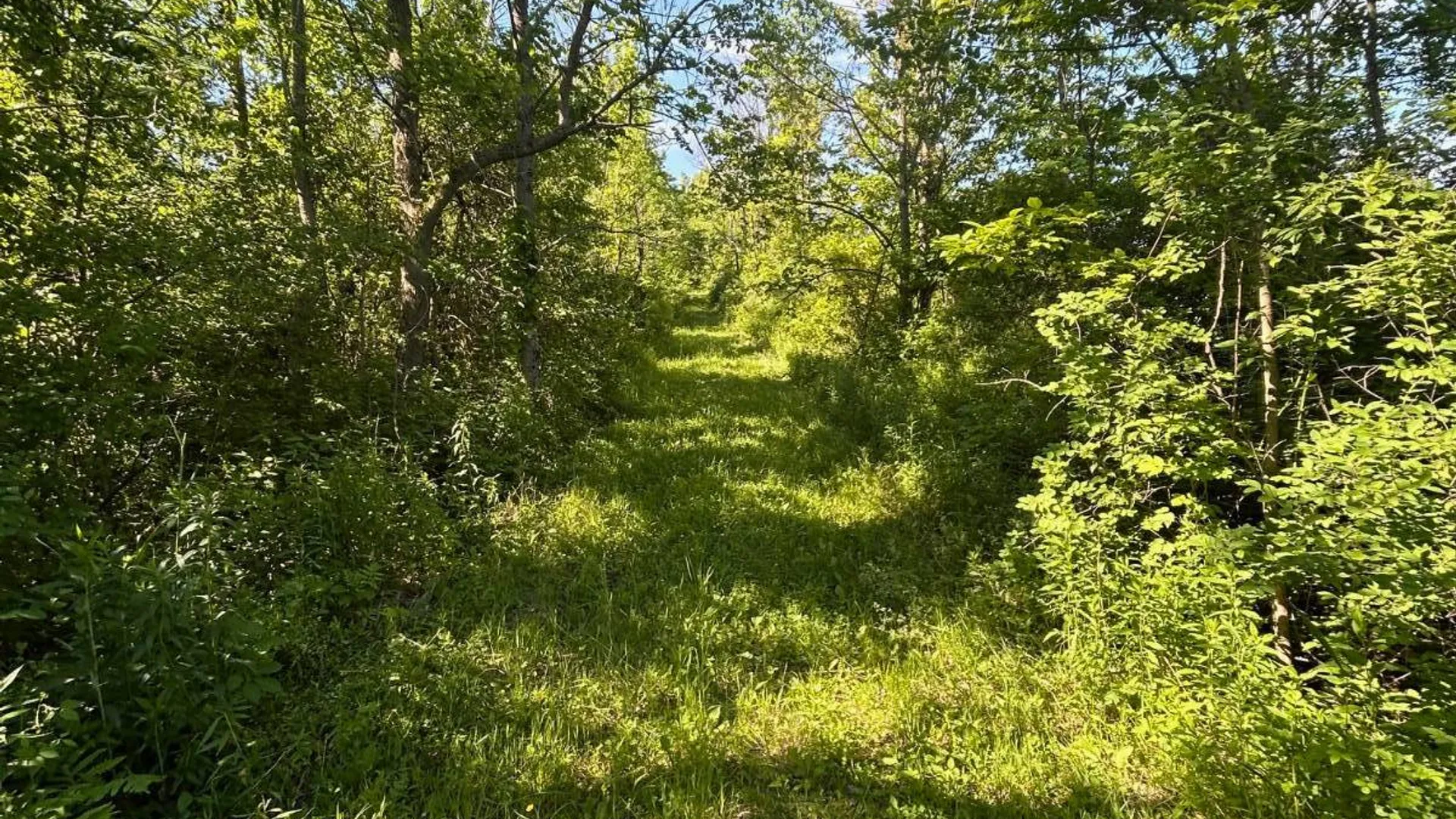 Property at 00 Woodbeck Road, Canajoharie, NY 13317 13