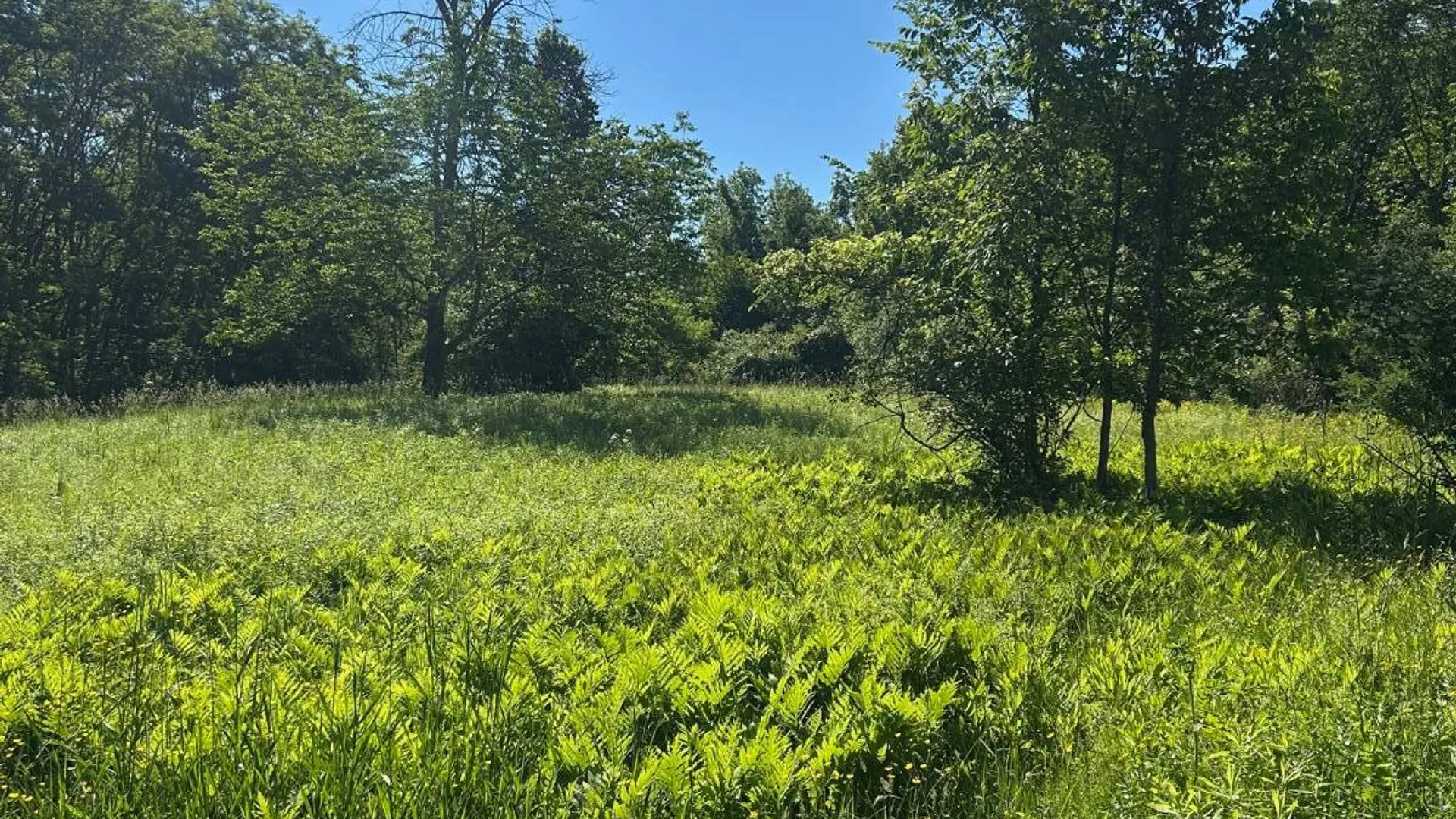 Property at 00 Woodbeck Road, Canajoharie, NY 13317 14