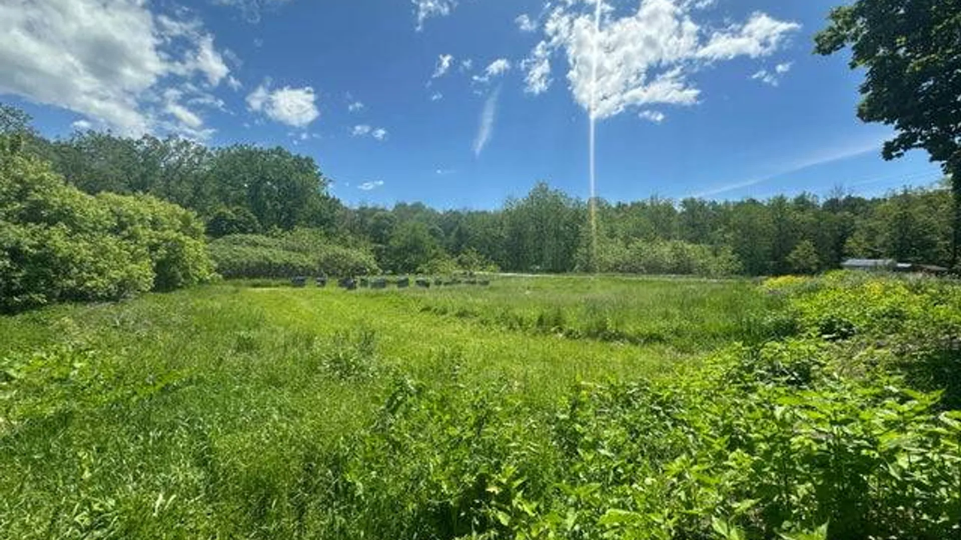 Property at 240 Fisher Rd., Fultonville, NY 12072 7
