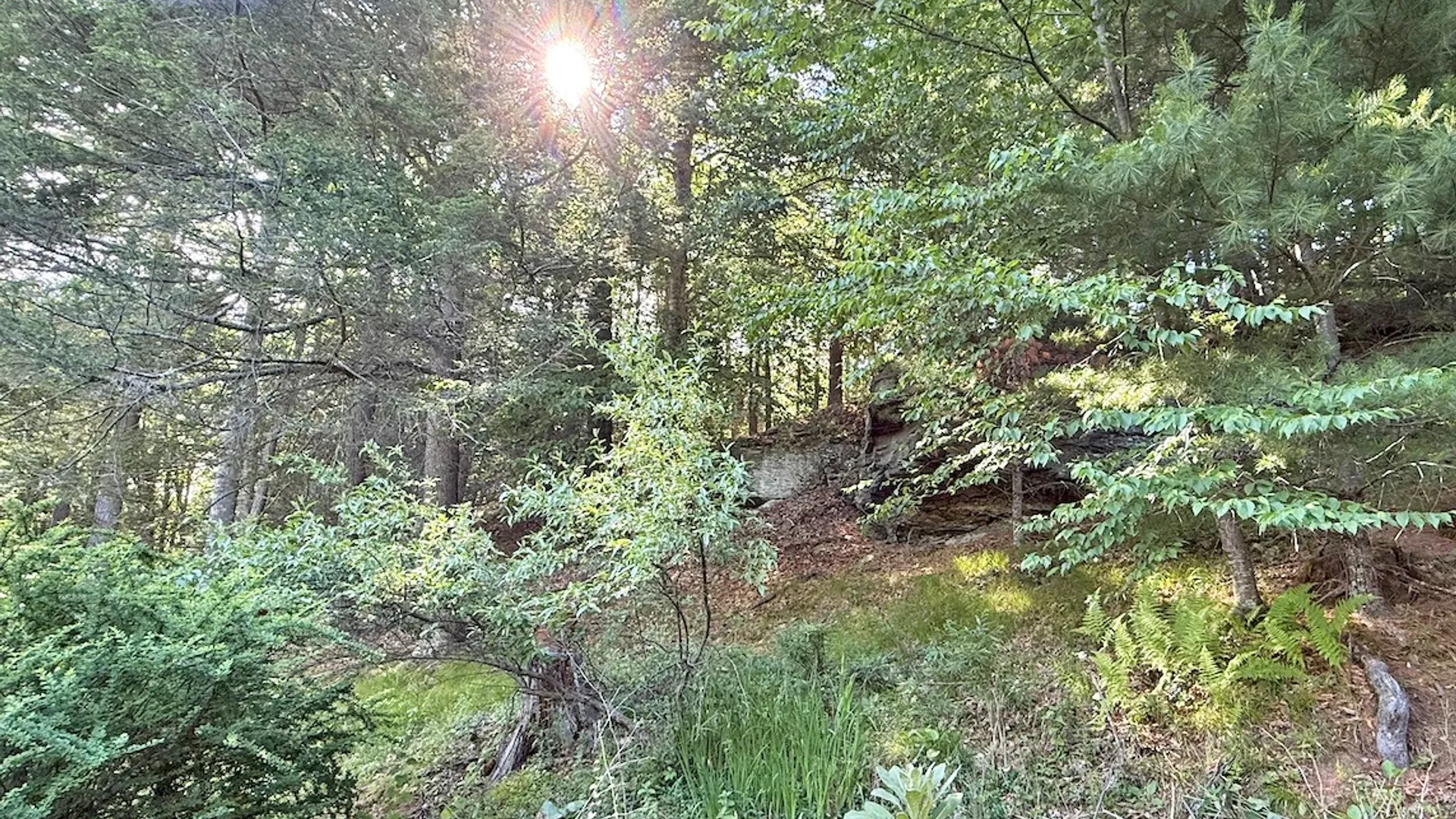 Property at 11 Nordic Dr, Woodstock, NY 12498 28