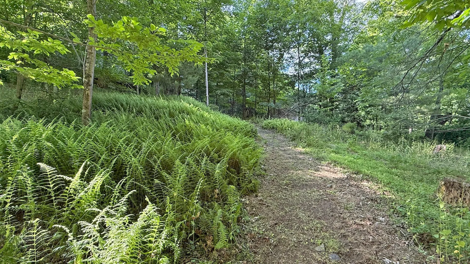 Property at 11 Nordic Dr, Woodstock, NY 12498 32
