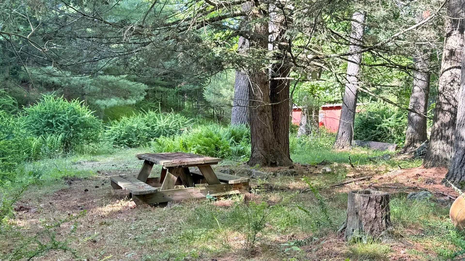 Property at 11 Nordic Dr, Woodstock, NY 12498 37