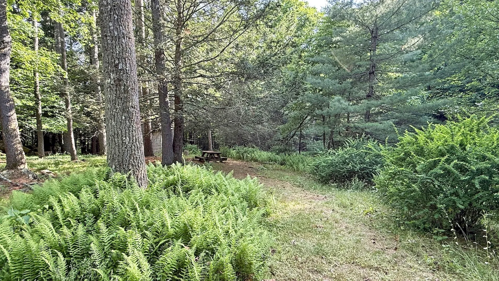 Property at 11 Nordic Dr, Woodstock, NY 12498 41
