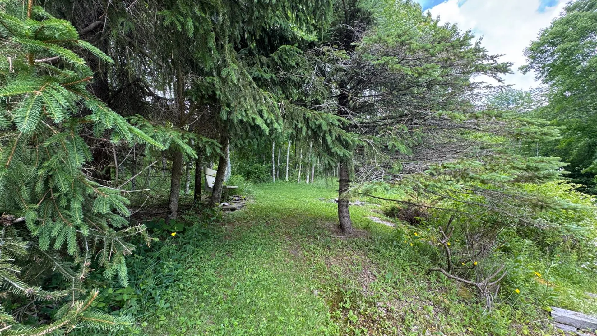 Property at 265 Dick Mason Rd, Delhi, NY 13753 5