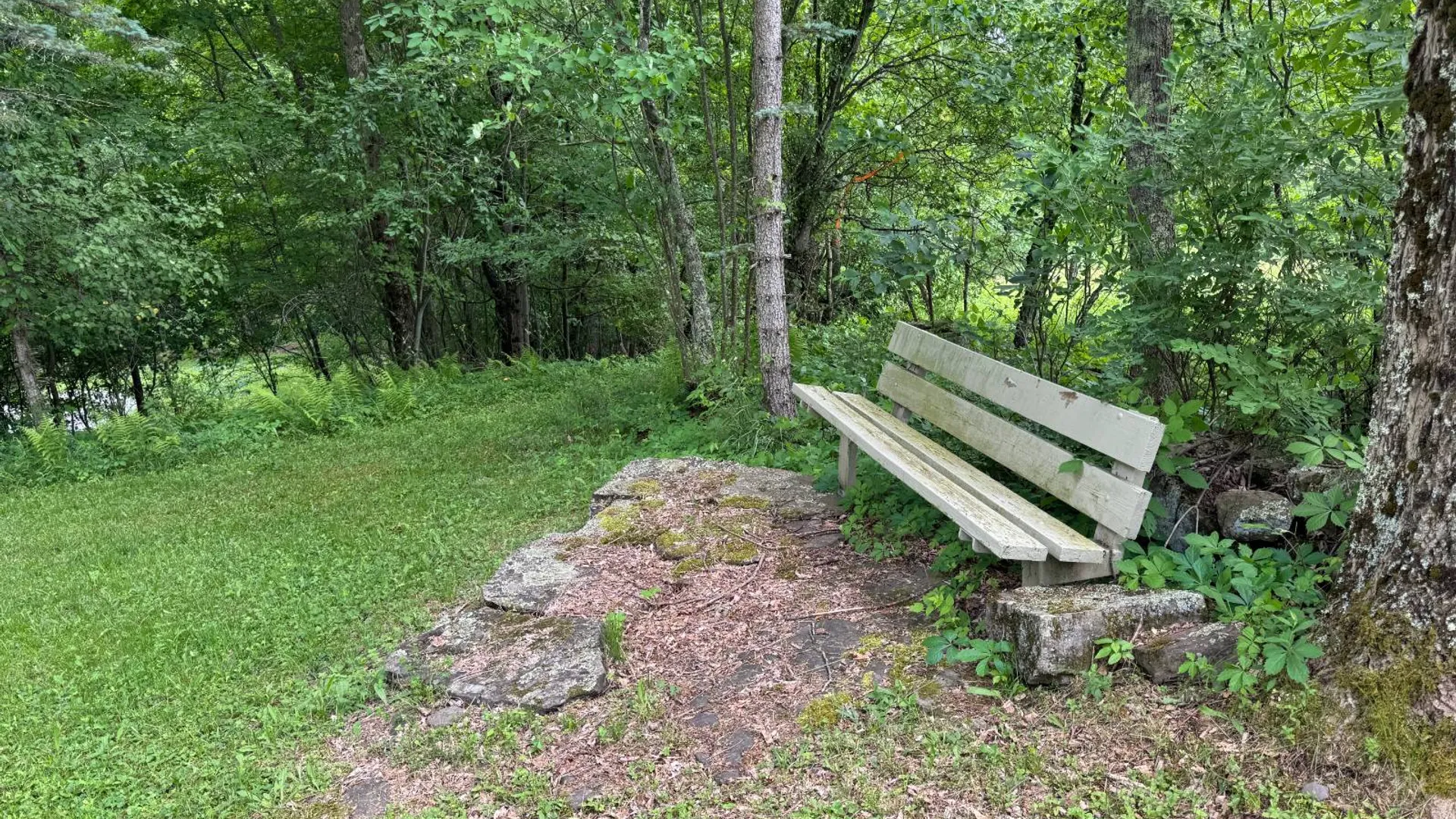 Property at 265 Dick Mason Rd, Delhi, NY 13753 31