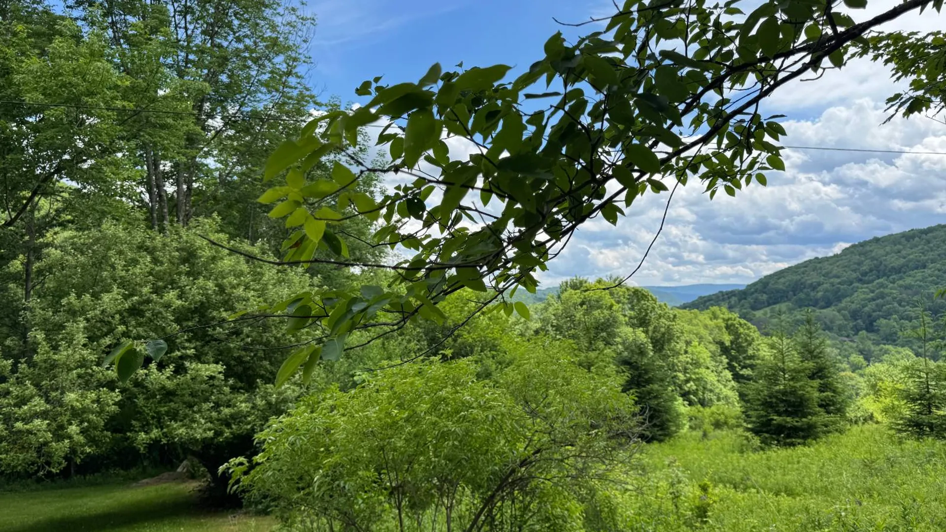 Property at 265 Dick Mason Rd, Delhi, NY 13753 30