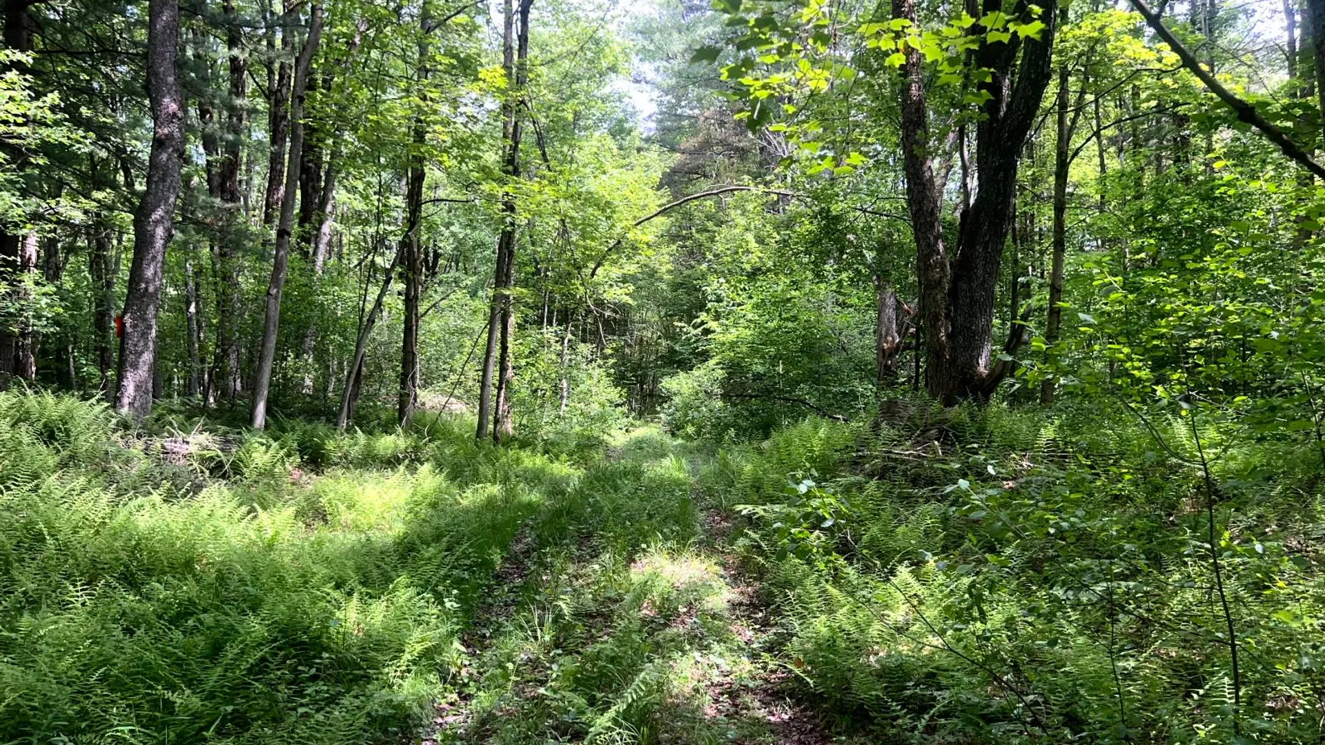 Property at Blue Heron Way Off Bartley Rd, Williamstown, NY 13493 7