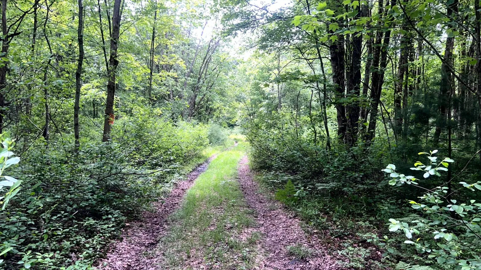 Property at Blue Heron Way Off Bartley Rd, Williamstown, NY 13493 8