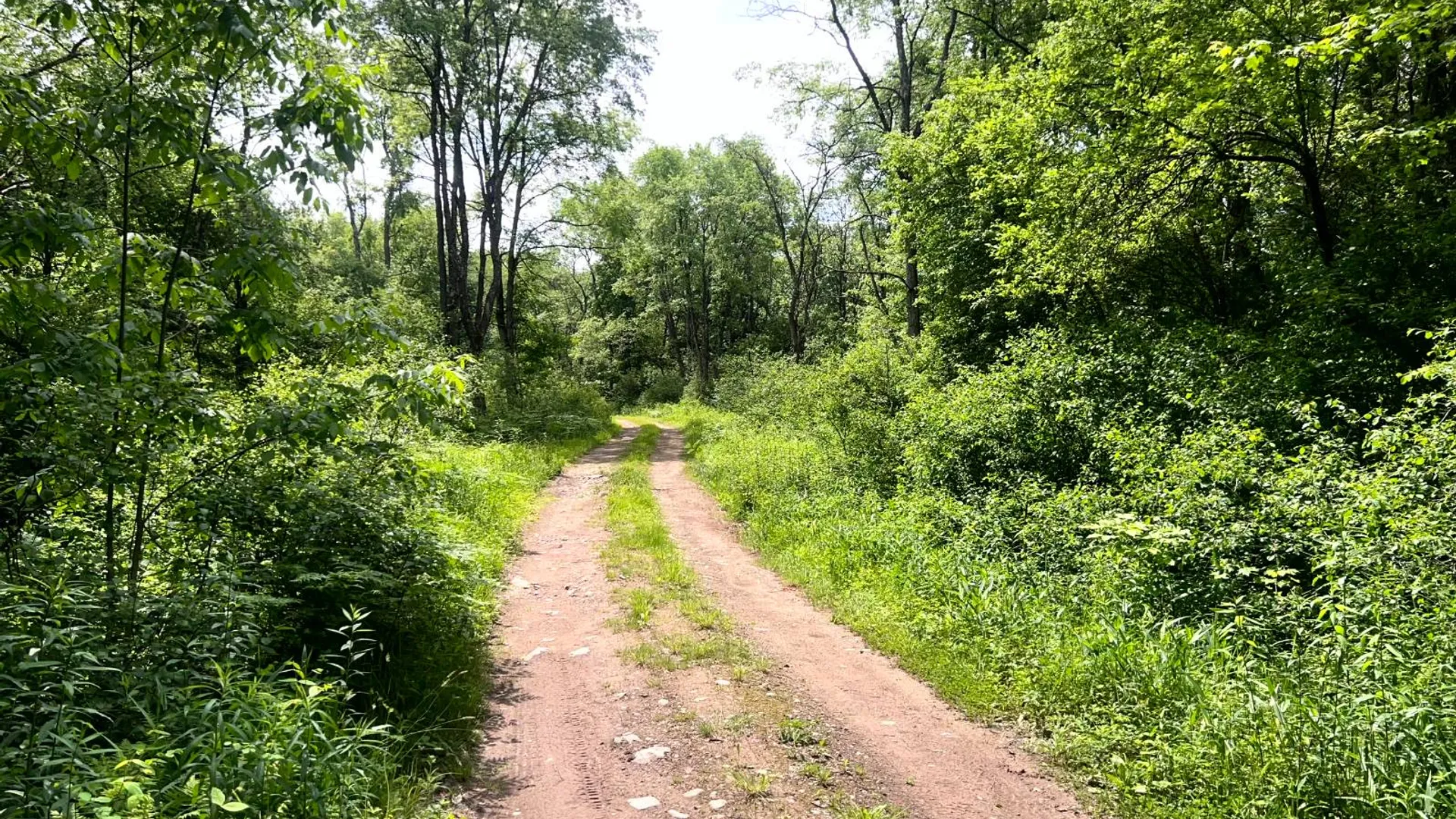 Property at Blue Heron Way Off Bartley Rd, Williamstown, NY 13493 12