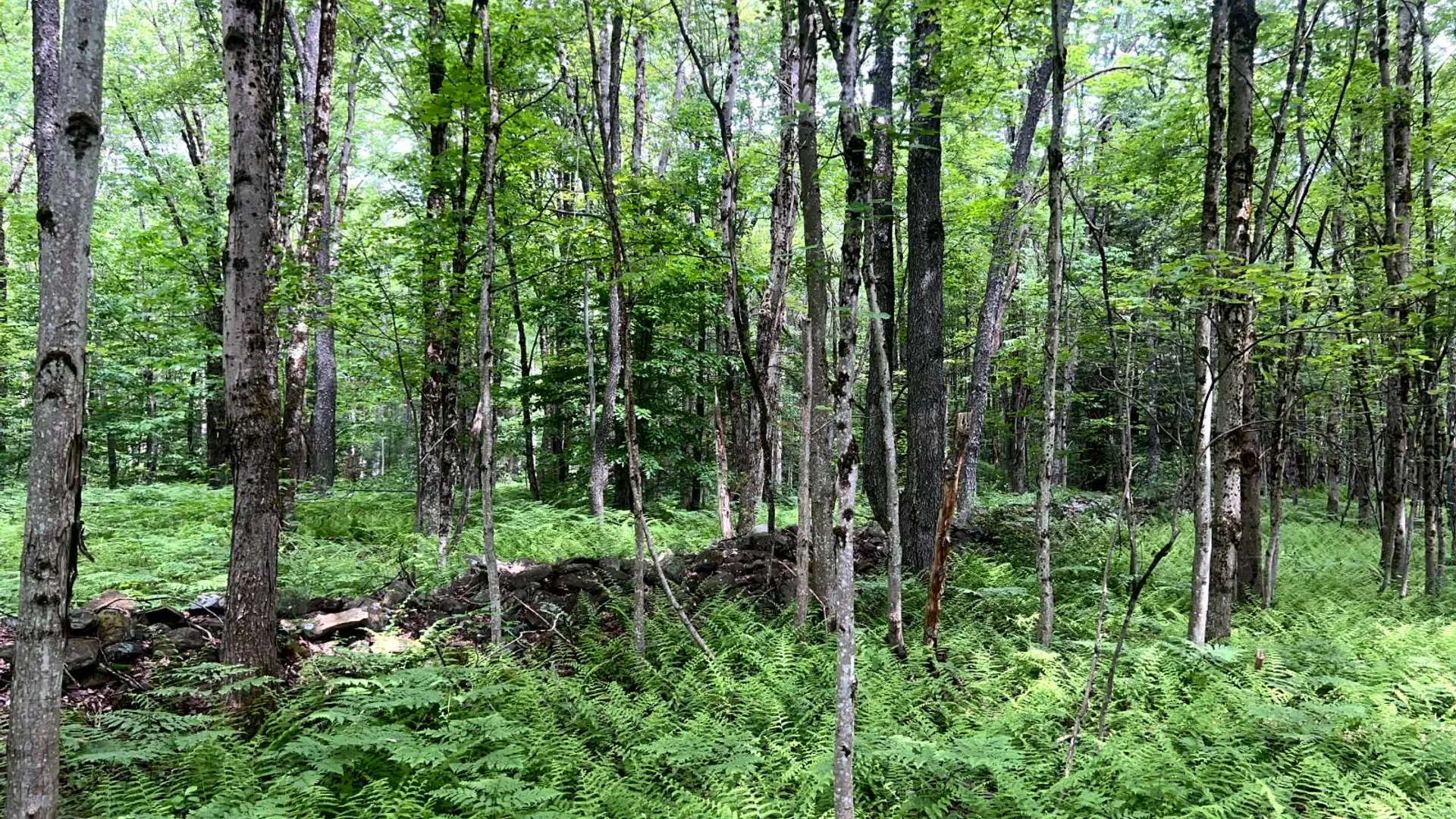 Property at Blue Heron Way Off Bartley Rd, Williamstown, NY 13493 19