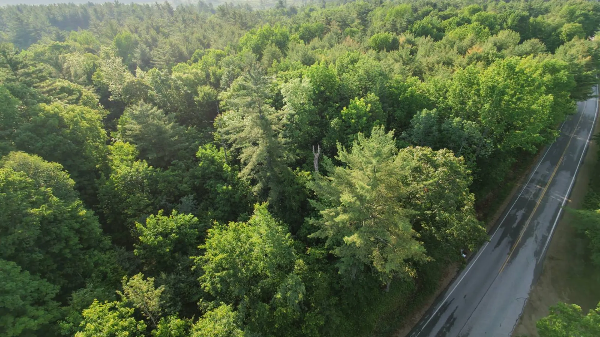 Property at 520 So Johnsburg Rd, Warrensburg, NY 12885 6