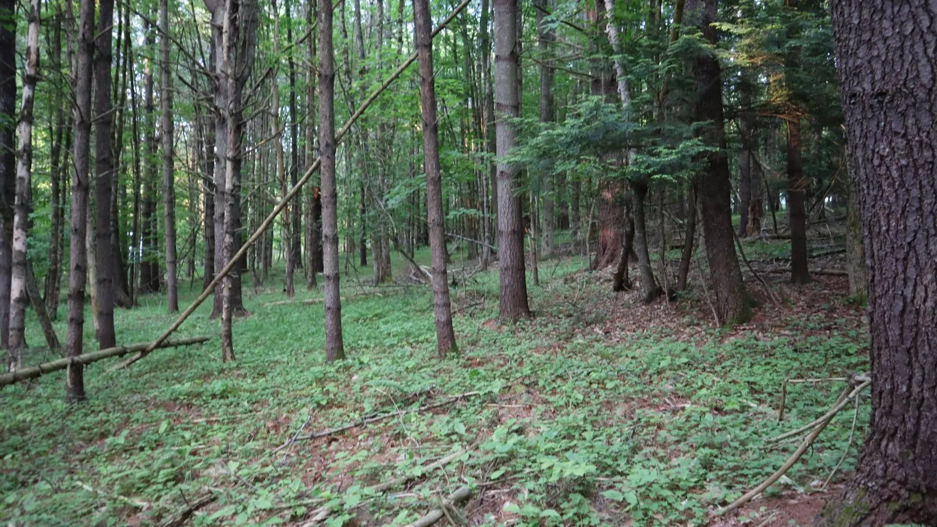 Property at 520 So Johnsburg Rd, Warrensburg, NY 12885 9