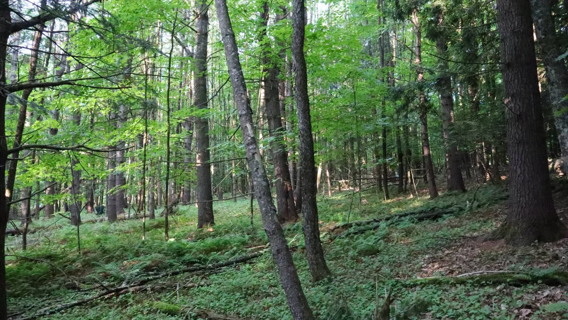 Property at 520 So Johnsburg Rd, Warrensburg, NY 12885 13