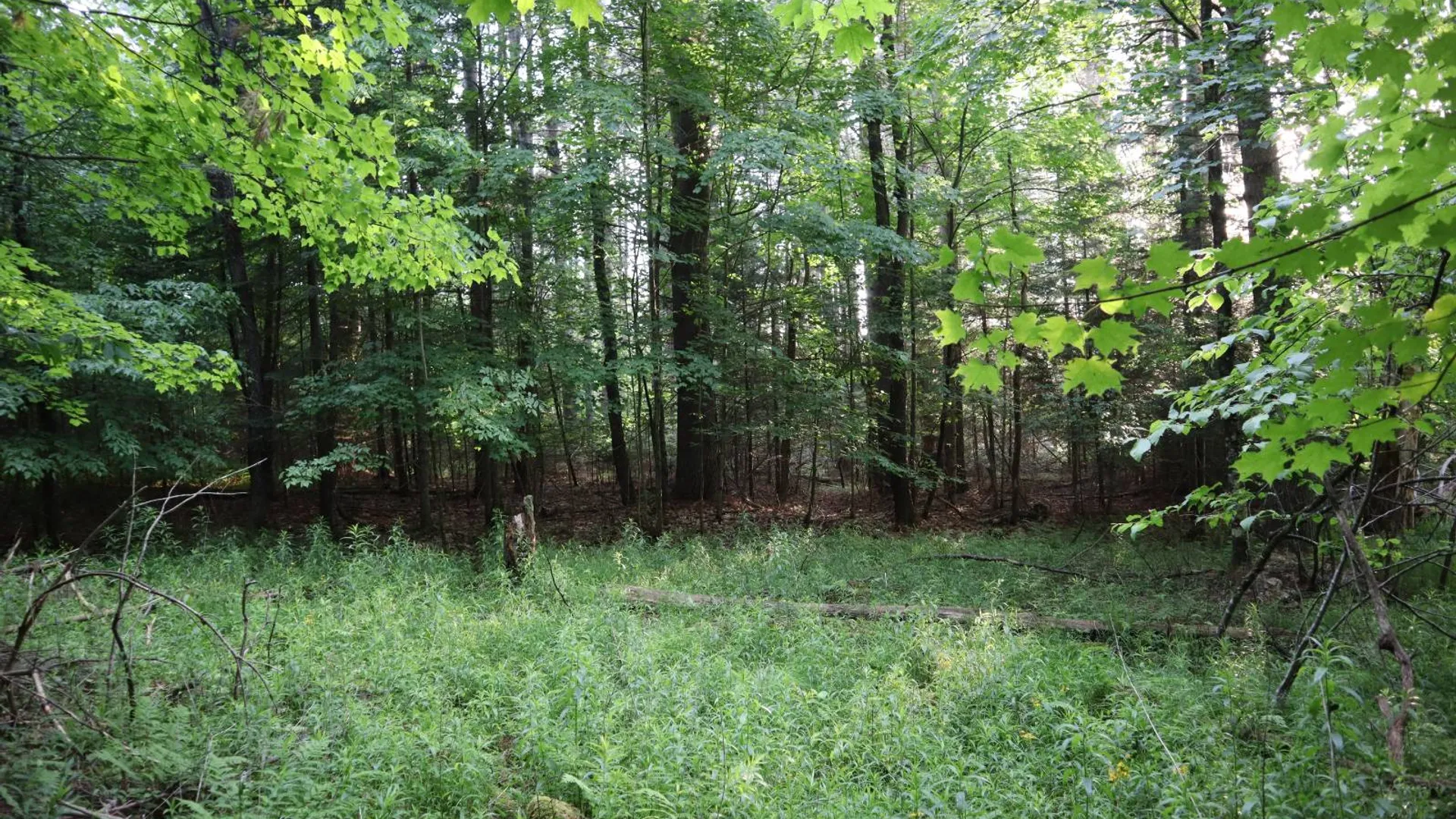 Property at 520 So Johnsburg Rd, Warrensburg, NY 12885 23