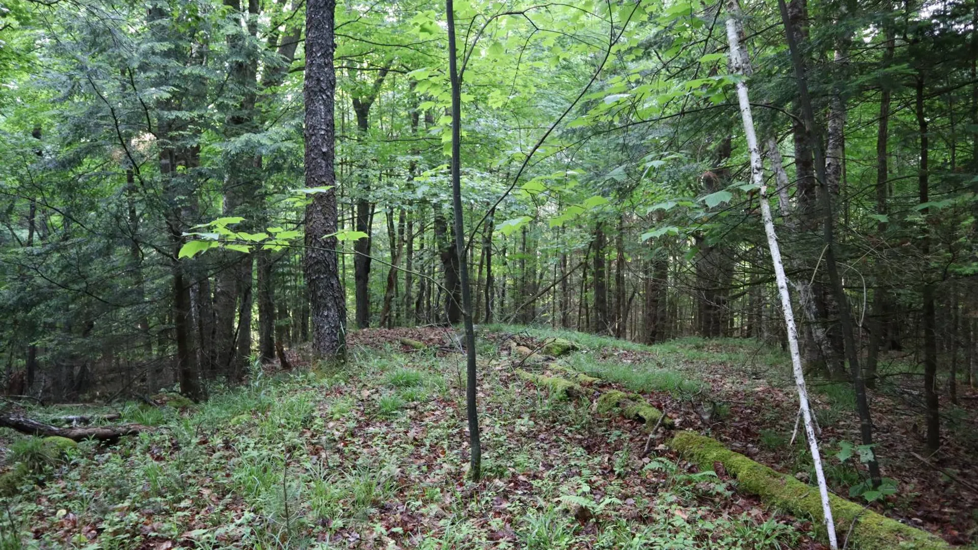 Property at 520 So Johnsburg Rd, Warrensburg, NY 12885 26
