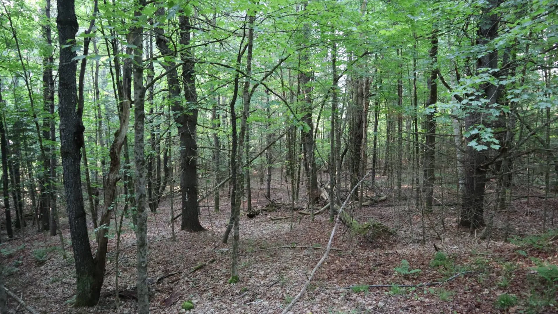 Property at 520 So Johnsburg Rd, Warrensburg, NY 12885 27