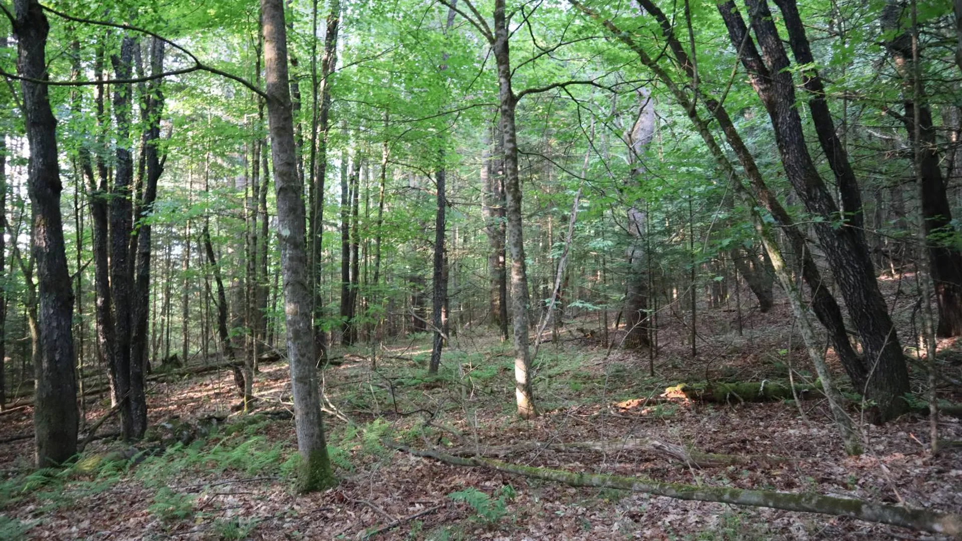 Property at 520 So Johnsburg Rd, Warrensburg, NY 12885 33