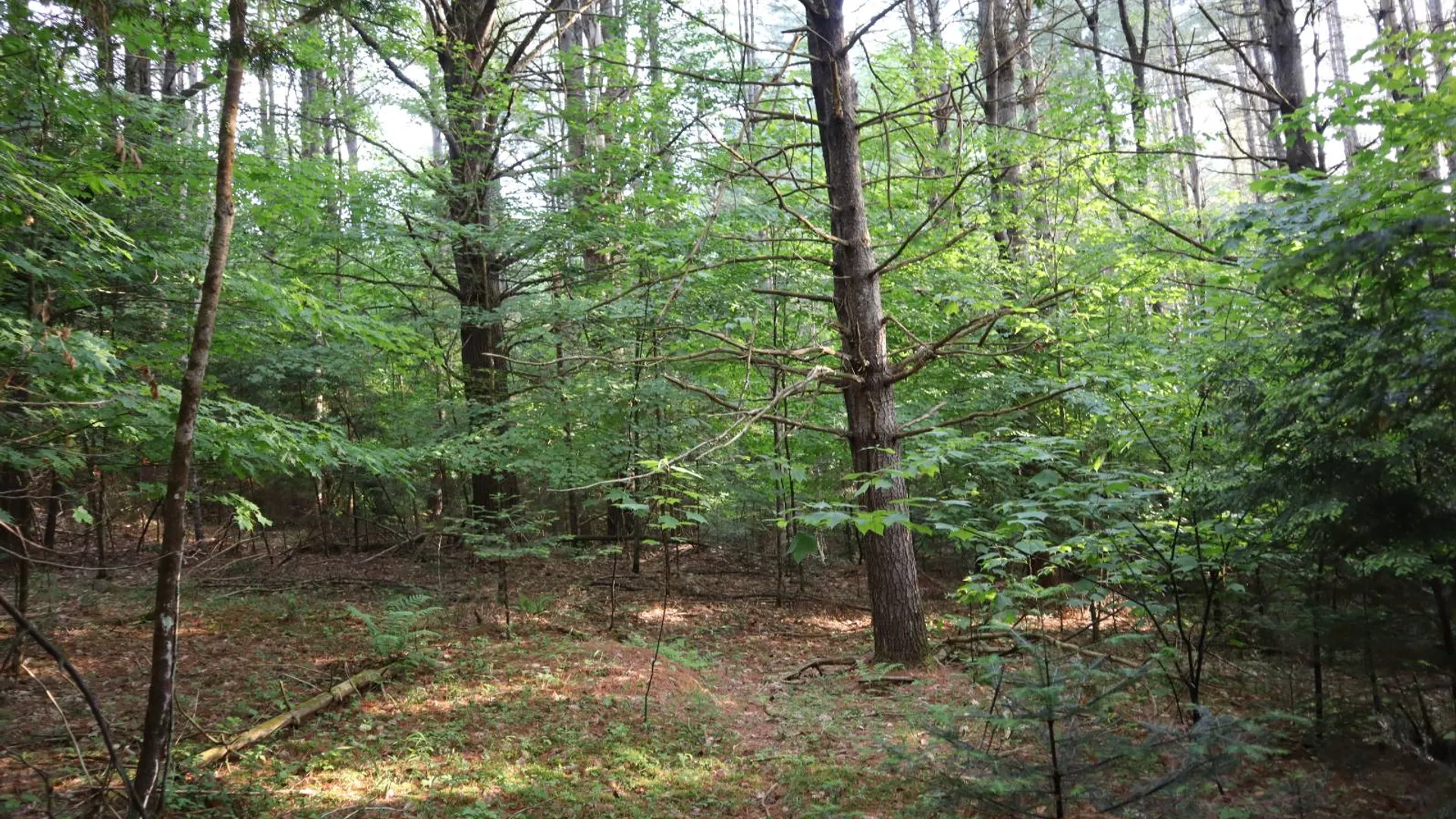 Property at 520 So Johnsburg Rd, Warrensburg, NY 12885 35