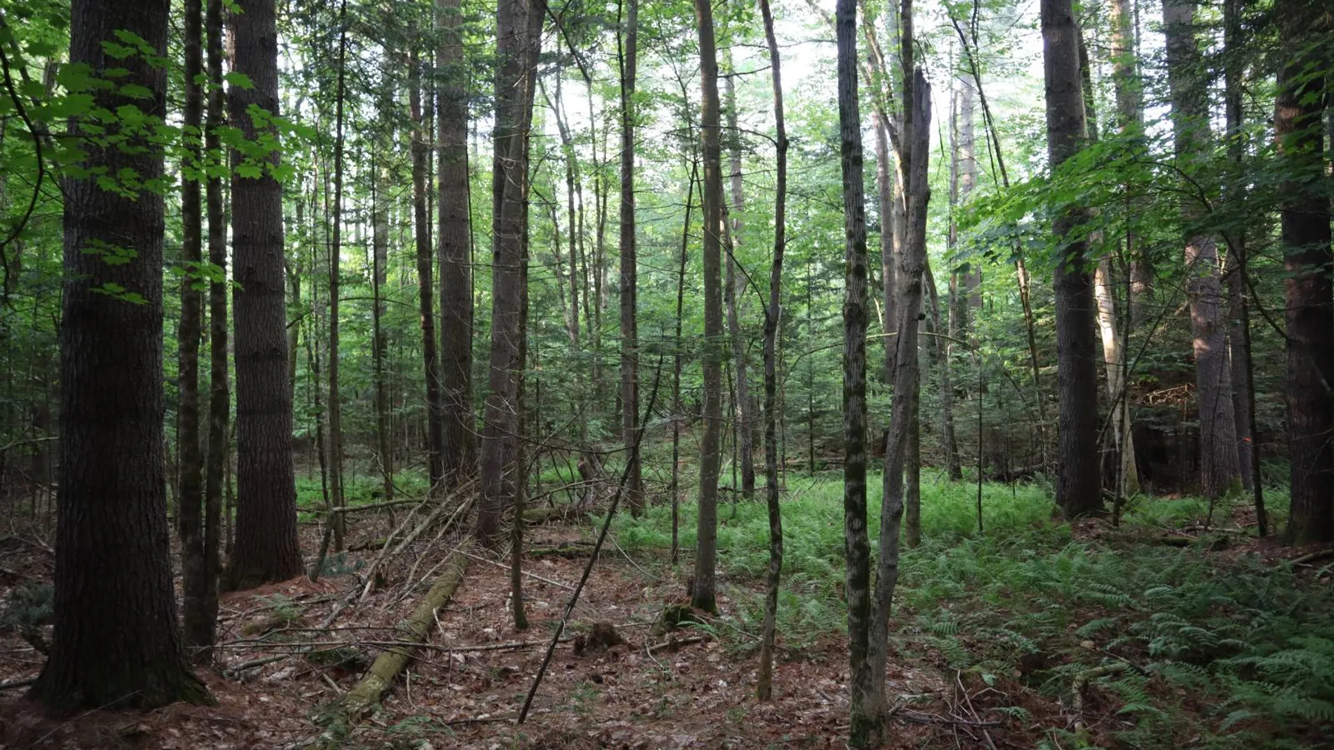 Property at 520 So Johnsburg Rd, Warrensburg, NY 12885 37