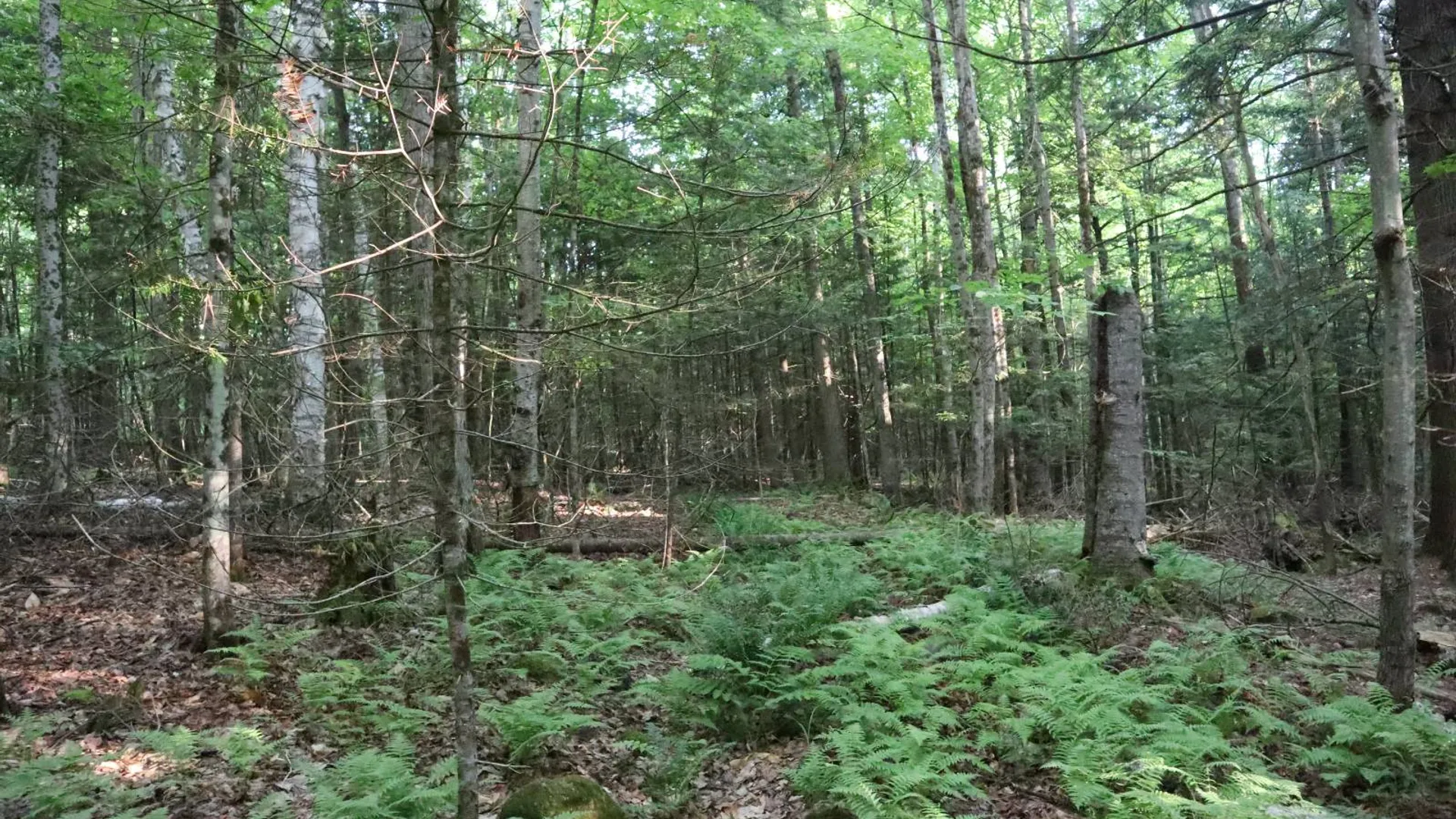 Property at 520 So Johnsburg Rd, Warrensburg, NY 12885 40